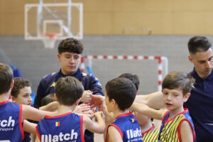 Mini Blau BM Serveis