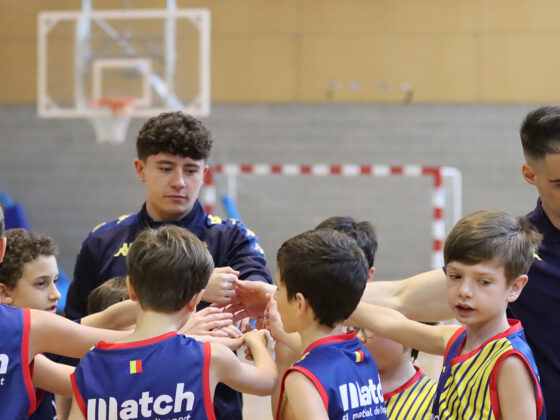 Mini Blau BM Serveis