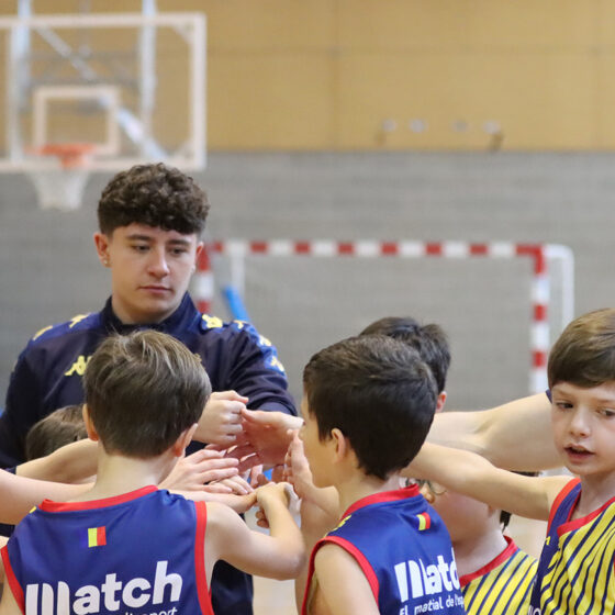 Mini Blau BM Serveis